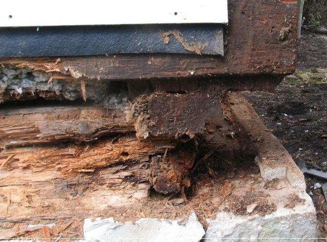 Sill and Floor Joist Replacement In Livingston, TX